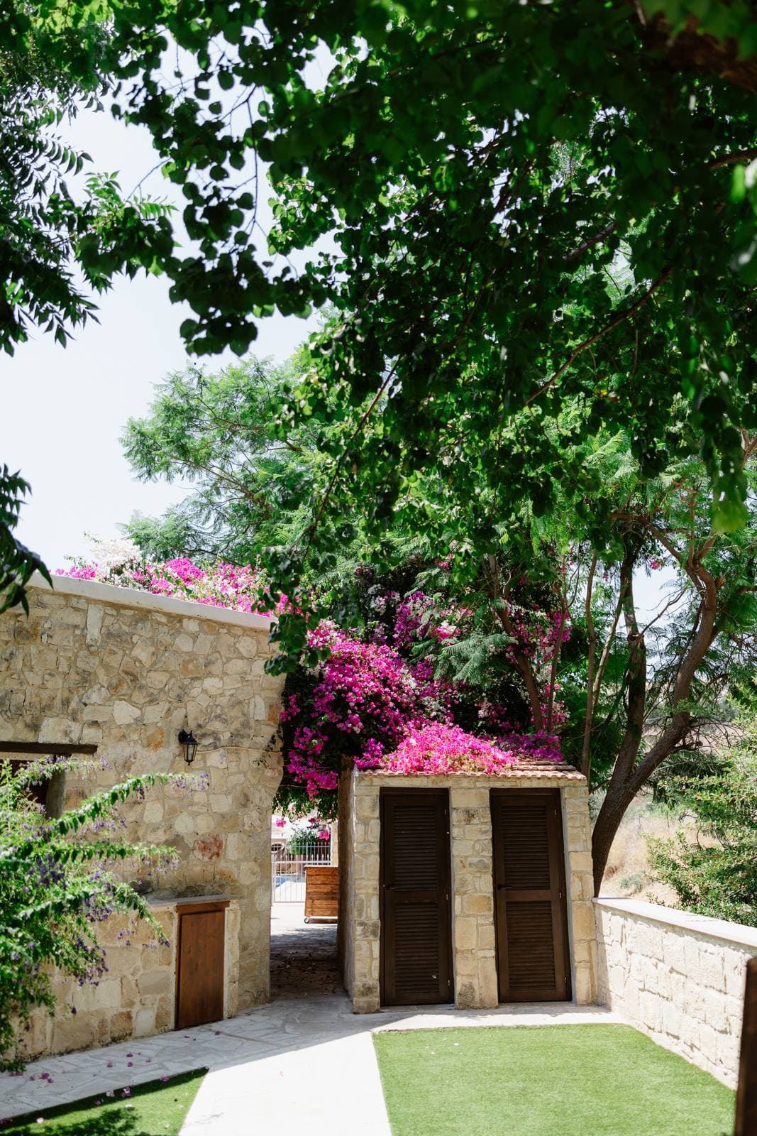 Hannah & Danial, the stone entrance and bougainvillea at Vasilias Nikoklis Inn